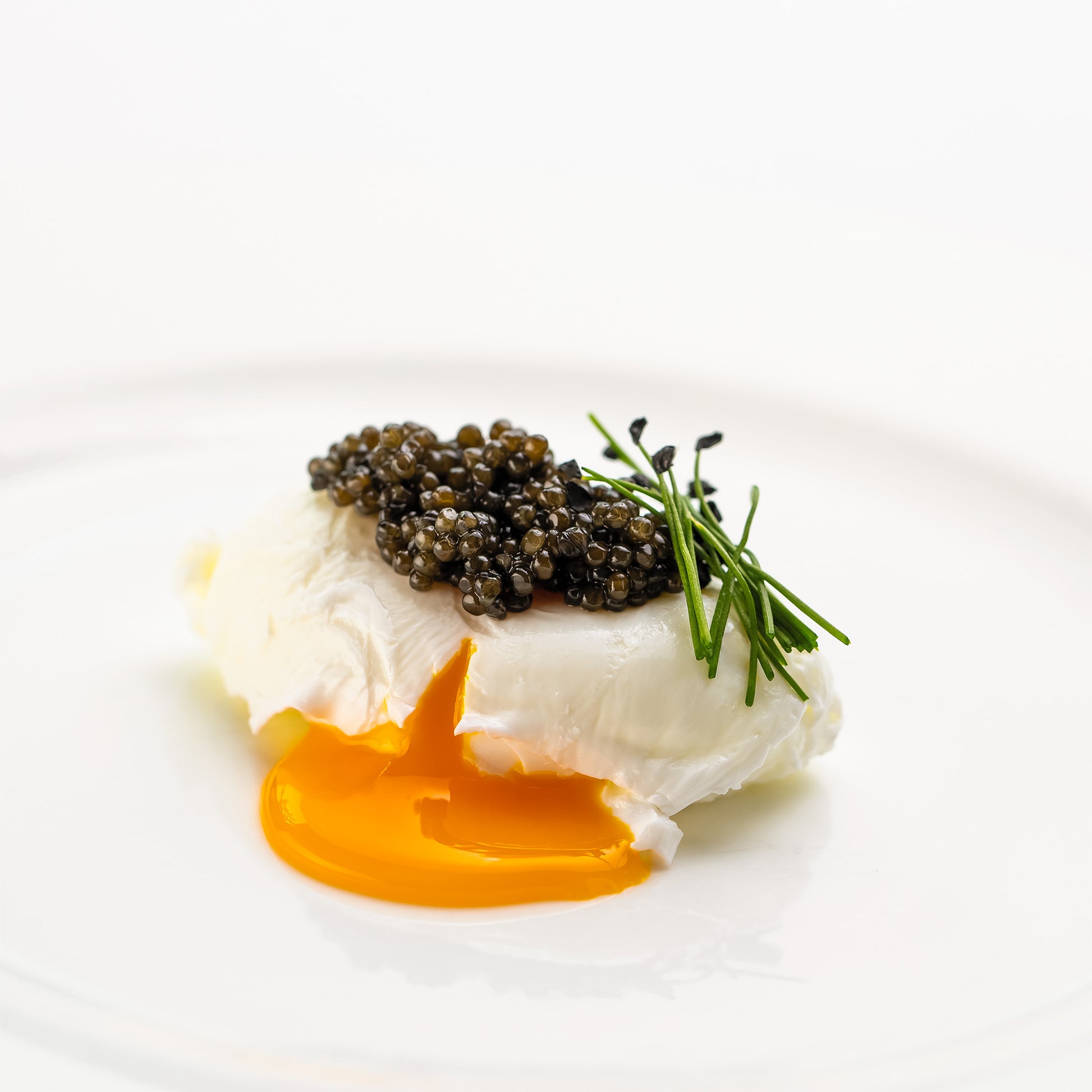 Caviale Oscietra Noah impiattato