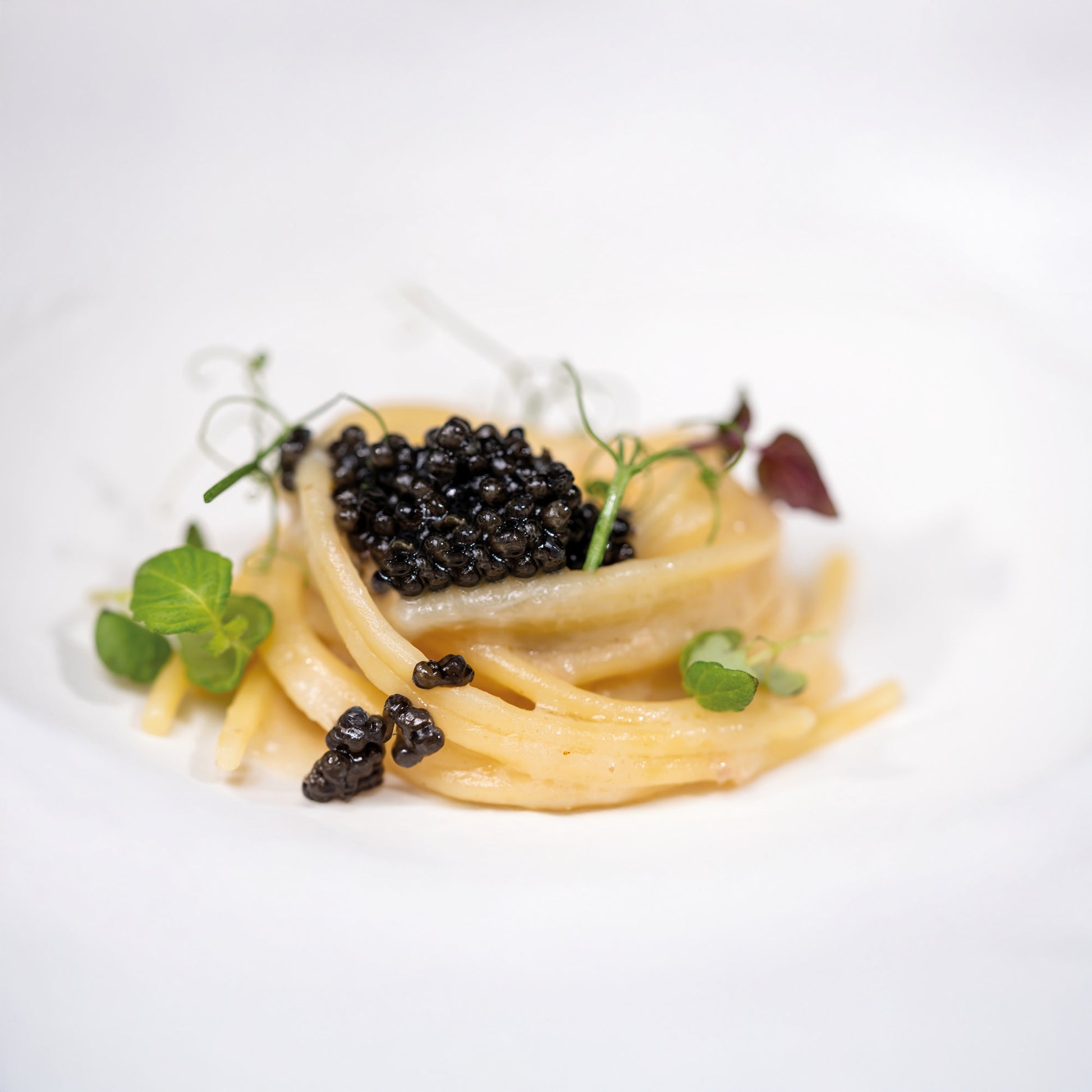 caviale noah impiattato