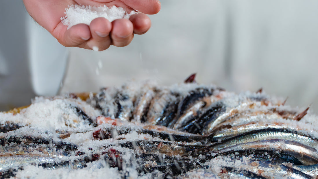 lavorazione a mano acciughe