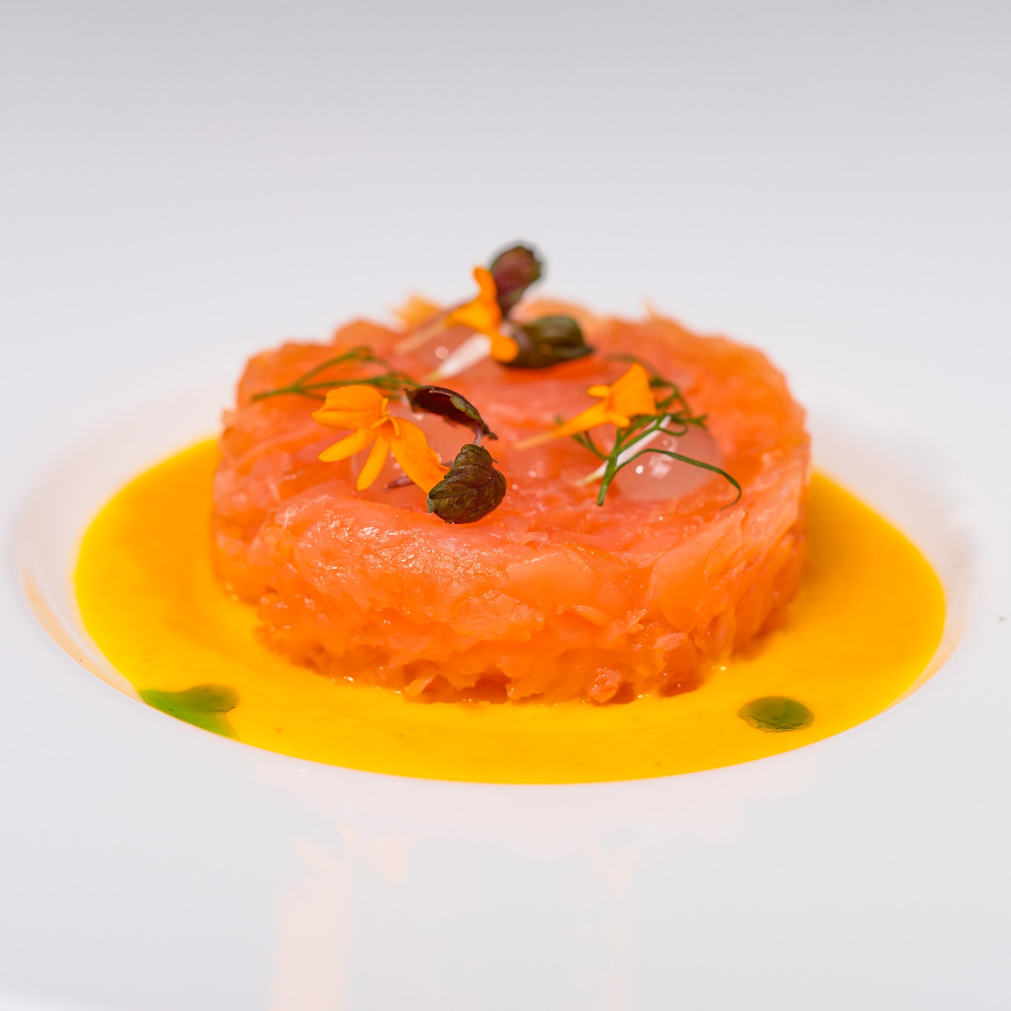 tartare salmone affumicato coda nera impiattato